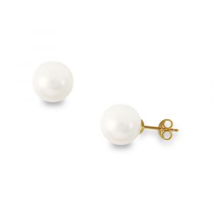 σκουλαρίκια shell pearl λευκό